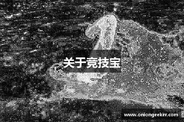 关于竞技宝